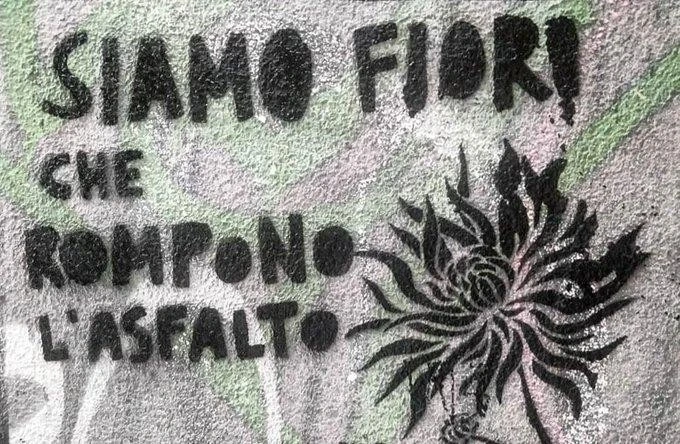 "We are flowers that break the asphalt". Stencil seen in Florence, Italy.